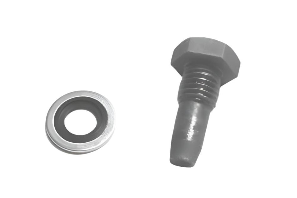 507025 Screw - tappet assembly - 273069 Dowty washer