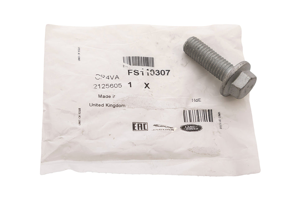 FS110307 Screw M10 x 30