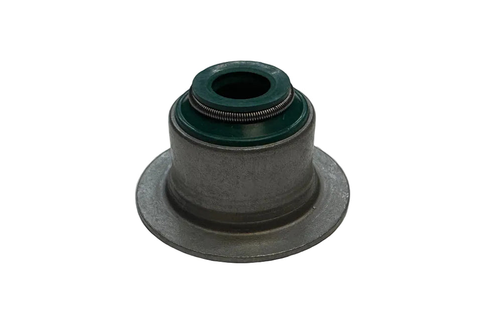 LJQ100940 Stem Seal