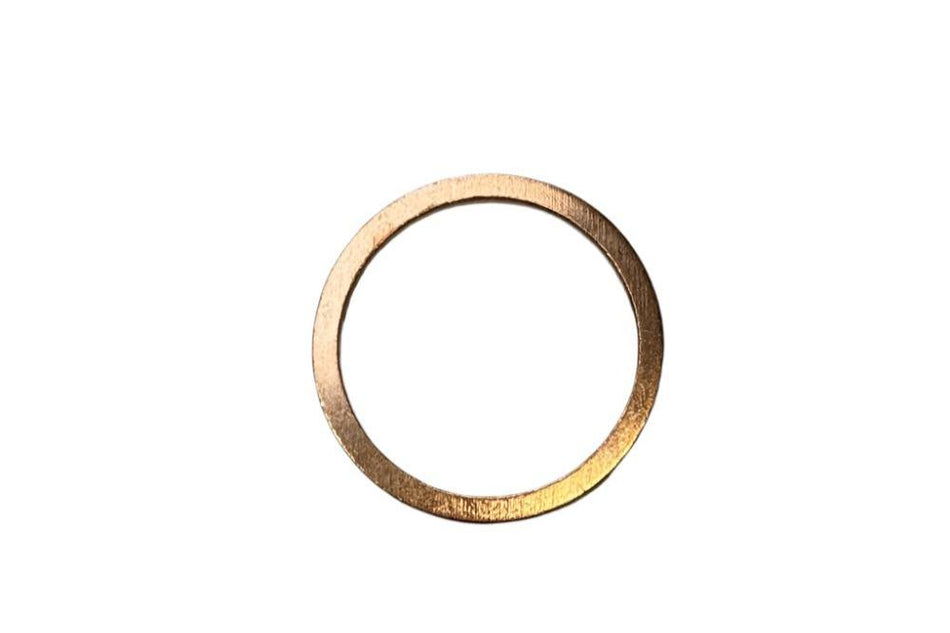 LXI100000 Sealing Washer - Tensioner