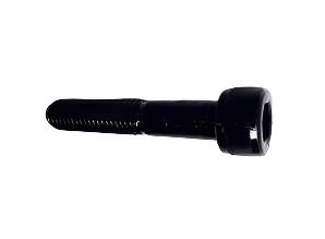SS110555 Screw Socket Head Cap